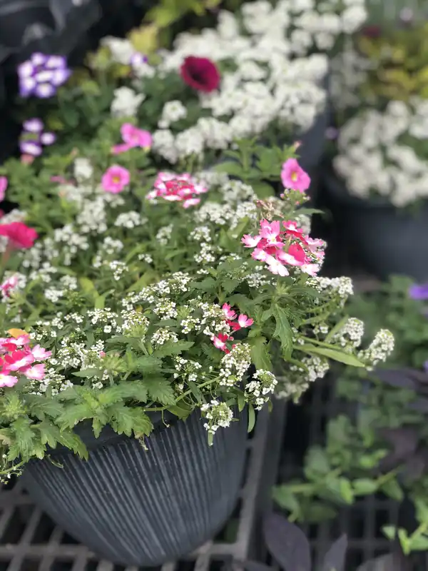 11" Planter