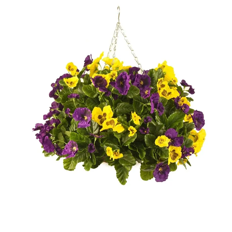 Pansy Hanging Basket 12 Inch - Vibrant Floral Display For Home And Garden