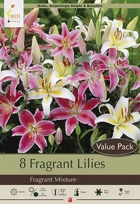 Fragrant Lilies - Oriental Fragrant Mixture, 36-48 Inches Tall