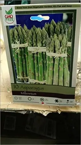 Asparagus 10 Pack - Premium Quality Asparagus Seeds For Home Gardening
