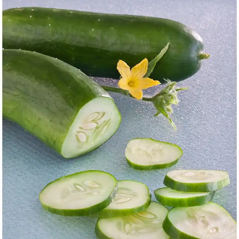 4.5 Inch Cucumber-burpless Bush Hybrid Plant - Bonnie Plants Model 4201