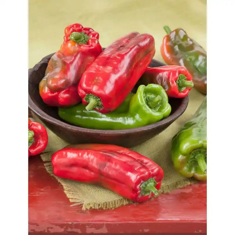 4.5 Inch 19.3 Ounce Pepper-giant Marconi Plant By Bonnie Plants