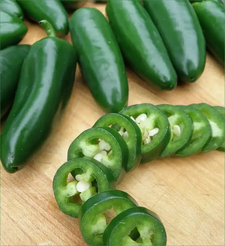 Pepper-mammoth Jalapeno