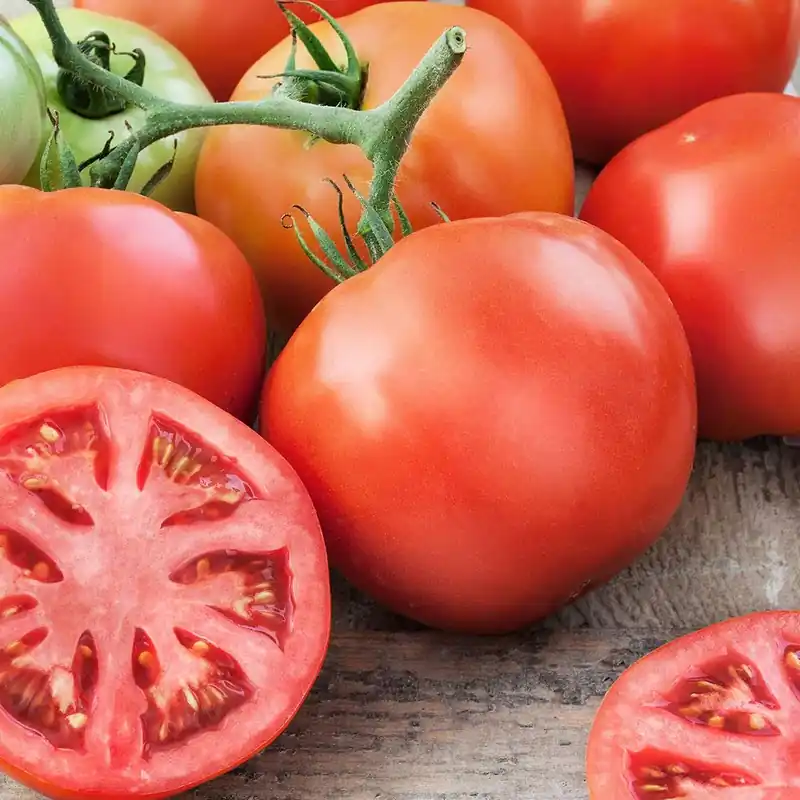 4.5 Inch Tomato-big Beef Plant - 19.3 Ounce Variety By Bonnie Plants