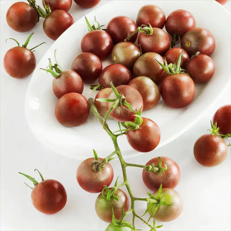 Tomato-black Cherry