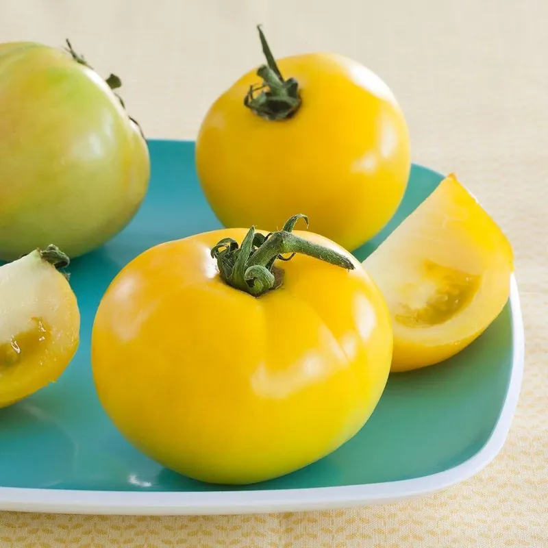 4.5 Inch Tomato-lemon Boy Plant - 19.3 Ounce Fresh Produce
