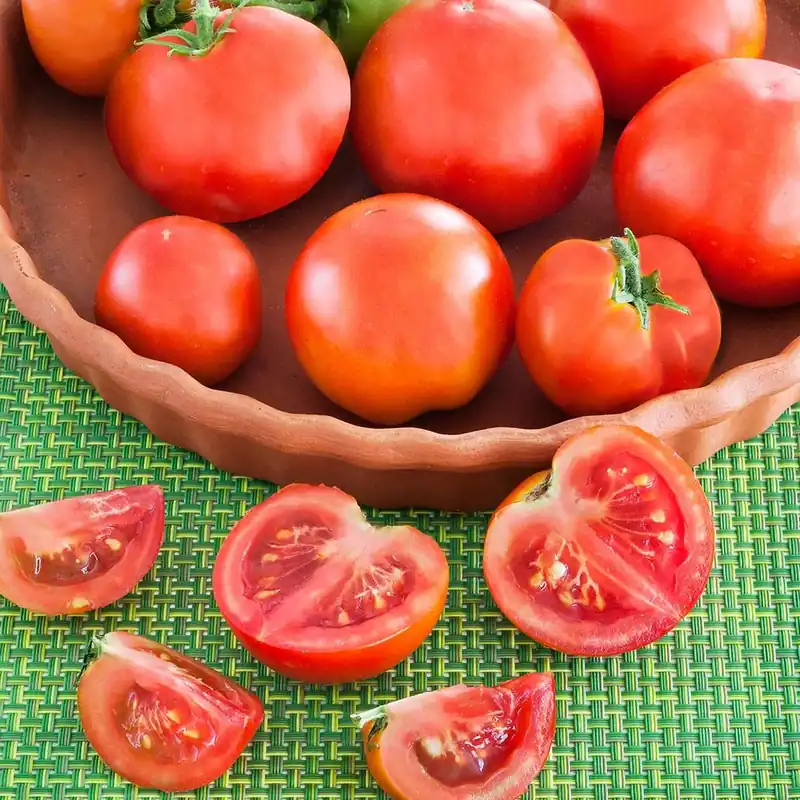 4.5 Inch Tomato-patio Plant - 19.3 Ounce Container - Bonnie Plants