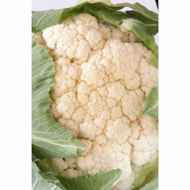 606 Cauliflower Vegetable Plant - 4 Inch Pot