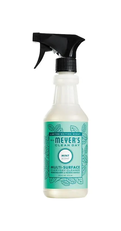Clean Day Mint Scent Organic Multi-surface Cleaner Liquid 16 Oz