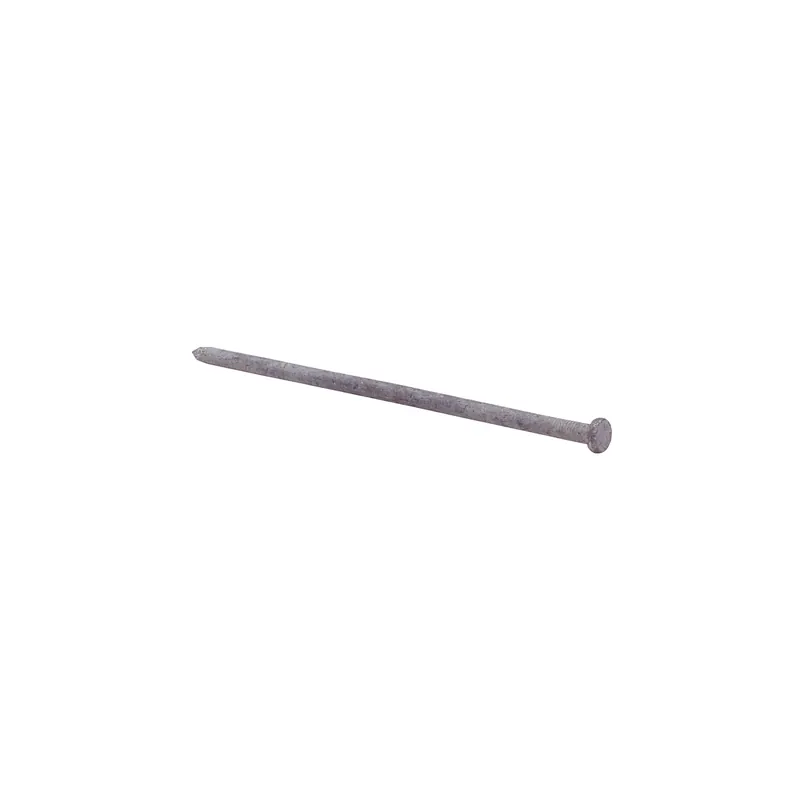 8 In. 3/8 Dia. Hot Galvanized Smooth Landscape Spikes - 50 Lb.