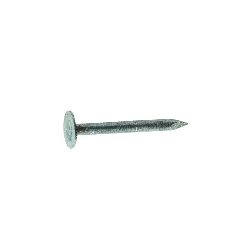3/4 In. 11 Gauge Electrogalvanized Roofing Nails - 348 Count, 1 Pound