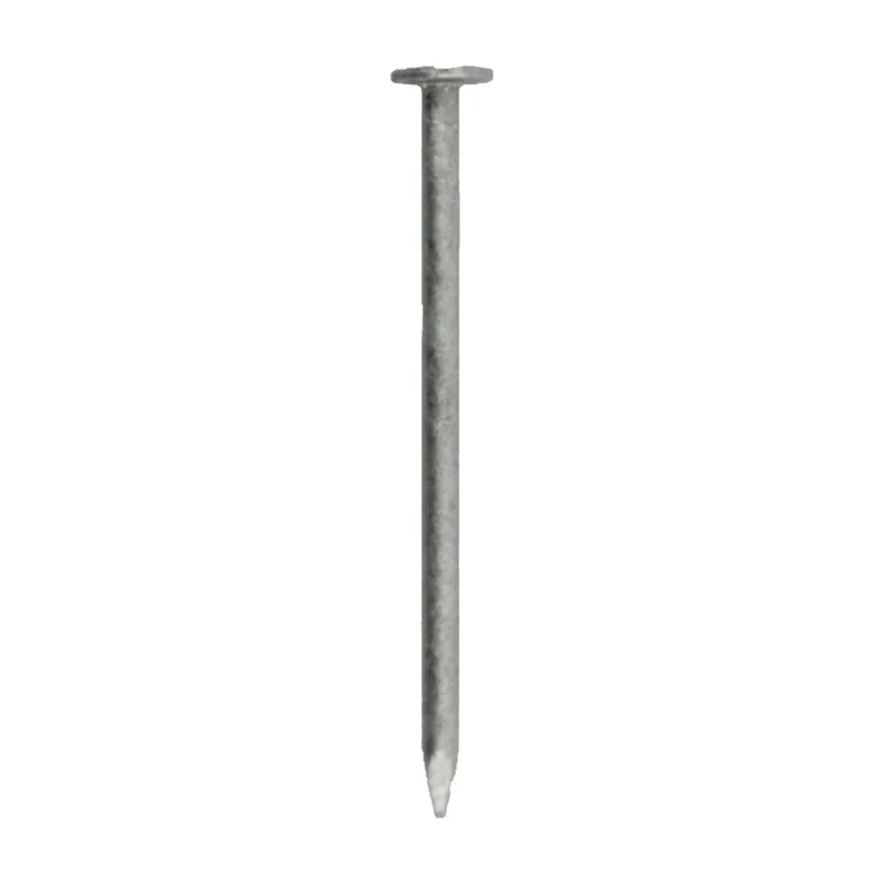 4d 1-1/2 In. Box Hot-dipped Galvanized Steel Nail Flat Head 1 Lb