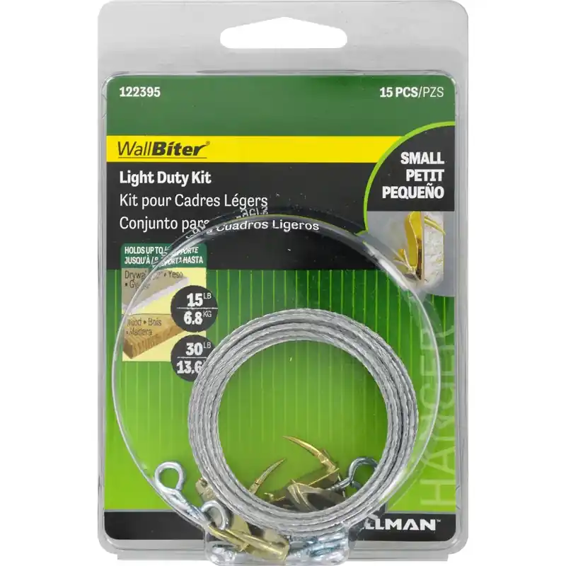 Wallbiter Brass-plated Silver Light Duty Picture Hanging Kit 30 Lb 5 Pk