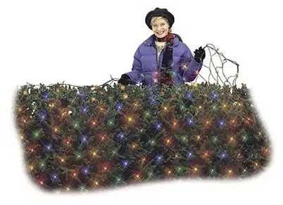 Christmas Led Net Light, Micro, Multi, 4 X 6-ft.