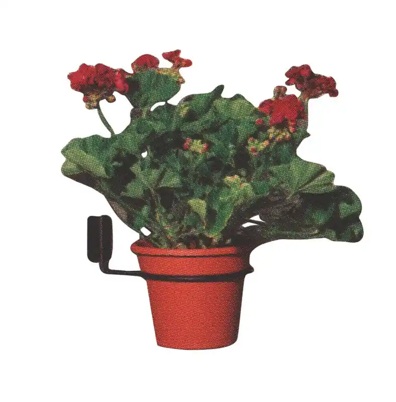 Black Wrought Iron 3 In. H Round Plant Hook 1 Pk