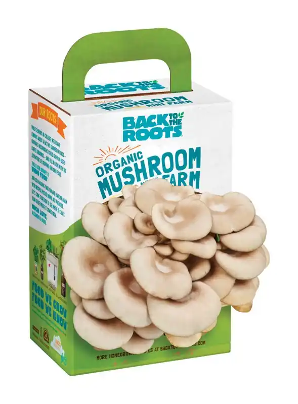 Mushroom Mini Farm 1 Pk
