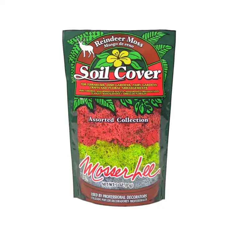 Assorted Reindeer Moss Soil Cover 3 Oz For Craft And Decoration