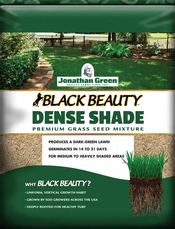 Black Beauty Dense Shade Grass Seed Mixture, 7 Lbs., Covers 4,200 Sq. Ft.