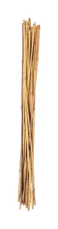 36 In. H Brown Bamboo Plant Stake
