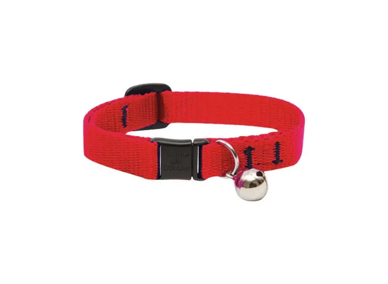 Lupine Pet Basic Solids Red Nylon Cat Collar 8-12 Inches Adjustable With Breakaway Buckle