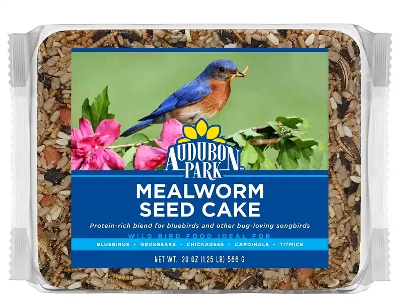 1.25 Lb. Mealworm Wild Bird Seed Cake For Insect-eating Birds