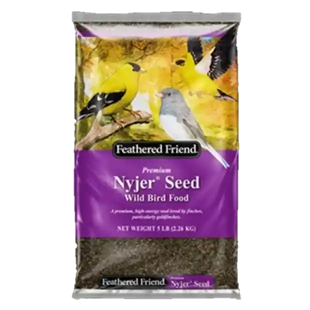 Nyjer Seed Wild Bird Food, 5 Lb. Bag