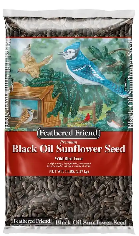 Black Oil Sunflower Seed Wild Bird Food, 5 Pound Bag