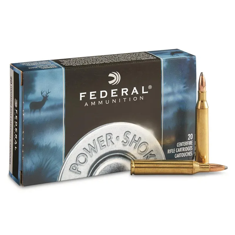 Power-shok .45-70 Government 300 Grain Flat Nose Rifle Ammo, 20 Rounds