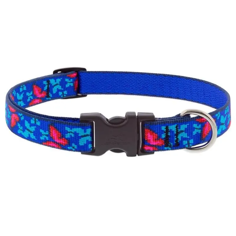 Small Adjustable Nylon Dog Collar – Blue & Pink Social Butterfly Design