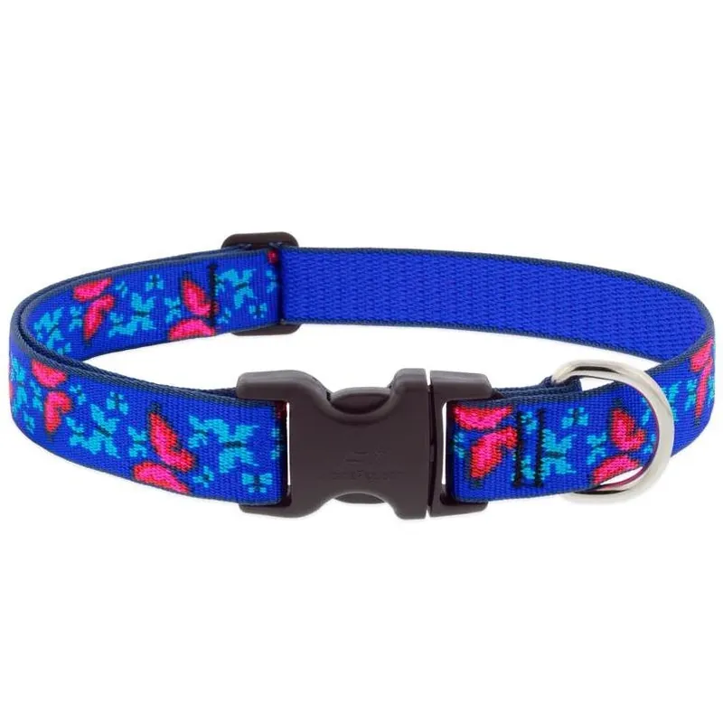 Medium Adjustable Nylon Dog Collar – Blue & Pink Butterfly Design