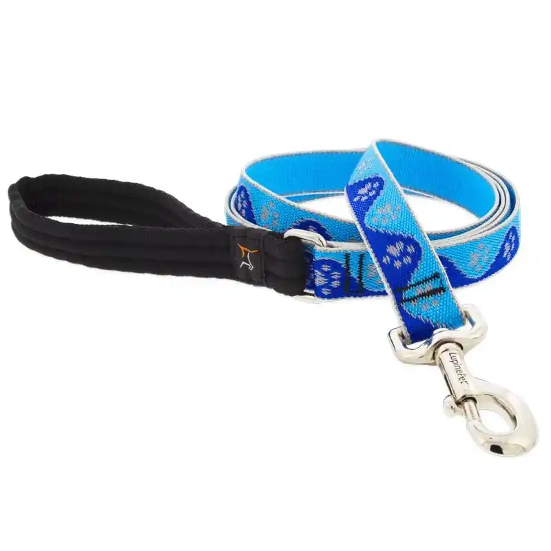 Dog Leash, Reflective Blue Paws Pattern, 1-in. X 6-ft.