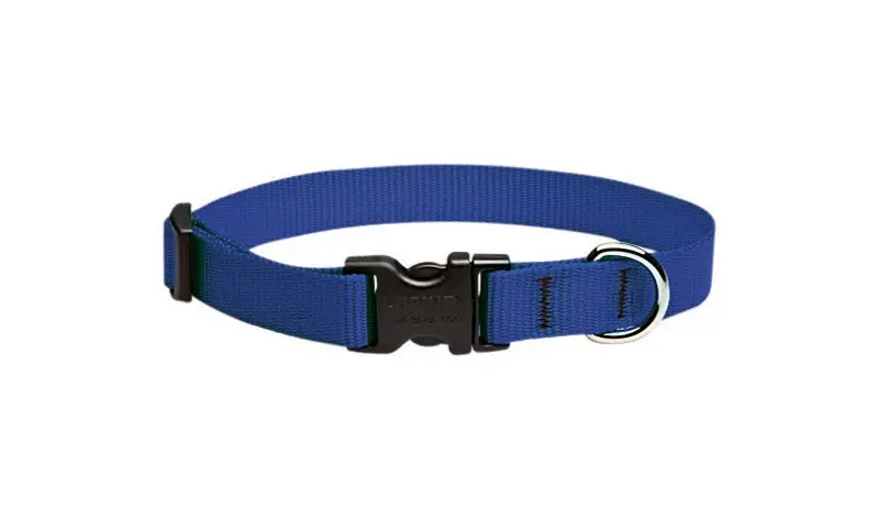 Basic Solids Blue Nylon Adjustable Dog Collar 9-14 Inches