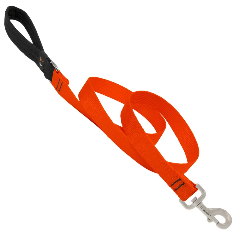 Pet Basic Solids Blaze Orange Nylon Dog Leash 6ft 1in