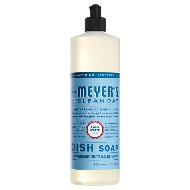 Clean Day Refreshing Rain Scent Liquid Dish Soap 16 Oz 1 Pk