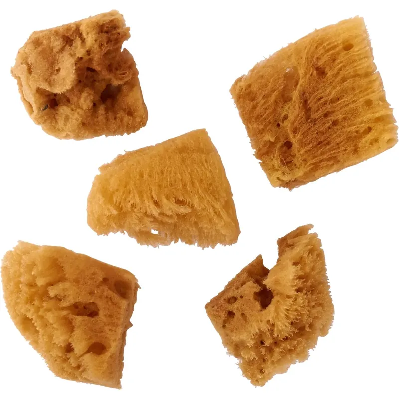 Foldart Assorted Sea Sponge Set - 5 Pieces, 1 Inch, Custom Blend