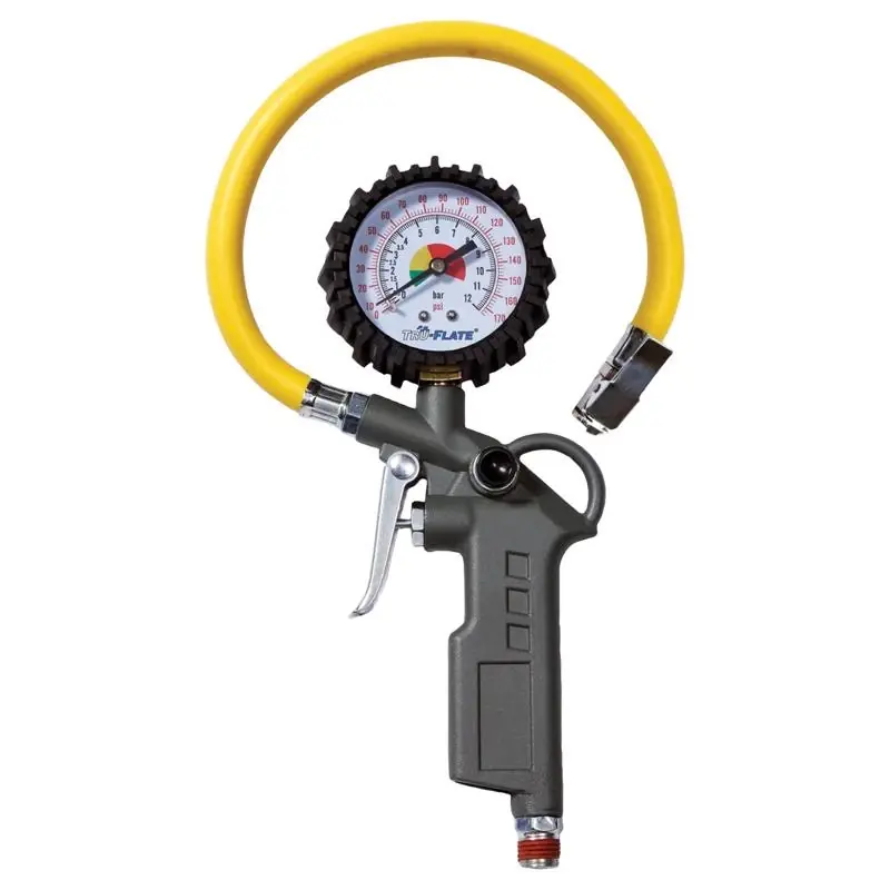 Plastic Inflator Gauge With Hose 1/4 In. Npt 174 Psi