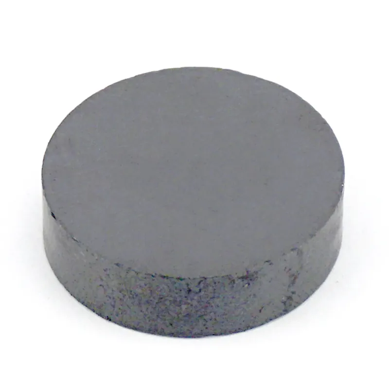 .197 In. L X .701 In. W Black Disc Magnets 0.7 Lb. Pull 8 Pc