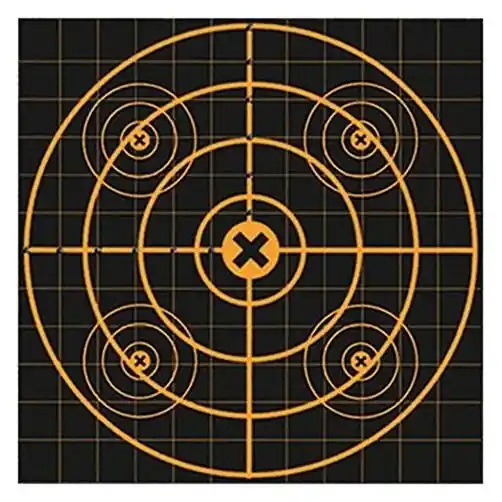 Y Big Burst Revealing Targets - (3) 12" Sight-in Targets