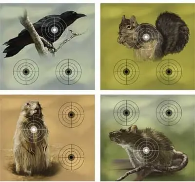 Crosman Cr-0496 Crosman Varmint Targets 20 - Pack