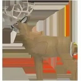 Shooter Buck Replacement Insert 71630 For 3-d Target Shooting