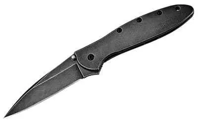 Leek 3 Inch Folding Knife With Assisted Opening, Clip Point, Blackwash Finish, Model 1660blkw