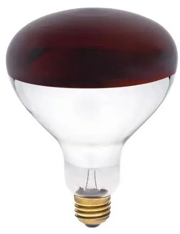 250 W R40 Reflector/heat Lamp Incandescent Bulb E26 (medium) Red 1 Pk