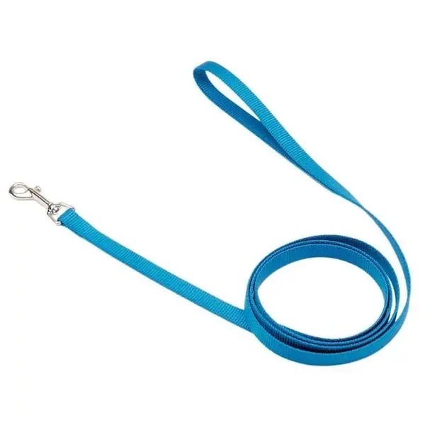 Nylon Puppy Leash - 0.6 In. W X 72 In. L, Blue Lagoon Color