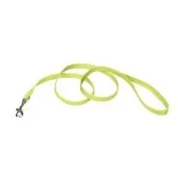 Co04064 6 Ft. Single-ply Nylon Dog Leash - Lime Green