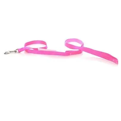 6 Ft. Neon Pink Single-ply Nylon Training Dog Leash - 5/8 Inch Wide
