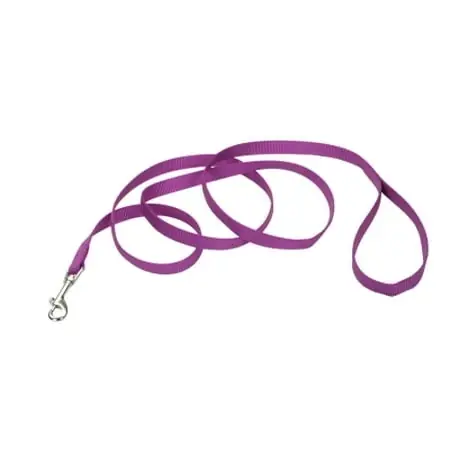 Co04065 6 Ft. Single-ply Nylon Dog Leash - Orchid Color