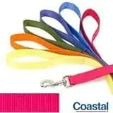 Nylon Puppy Leash - 0.6 W X 72 D, Pink Flamingo Color