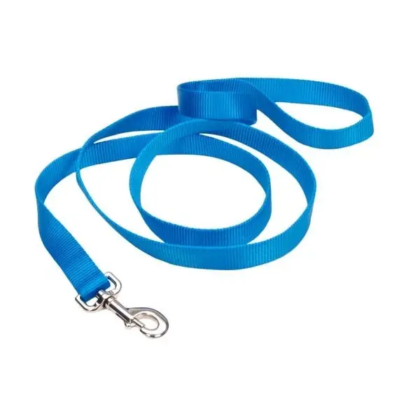 Coastal Pet Nylon Leash 1 Inch X 6 Feet Blue Lagoon Color