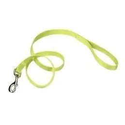 Co90607 6‘ Single-ply Nylon Dog Leash In Lime For Training And Walking