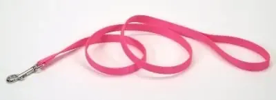Heavy Weight 1 In. Single-ply Nylon Dog Leash - Neon Pink, 6‘